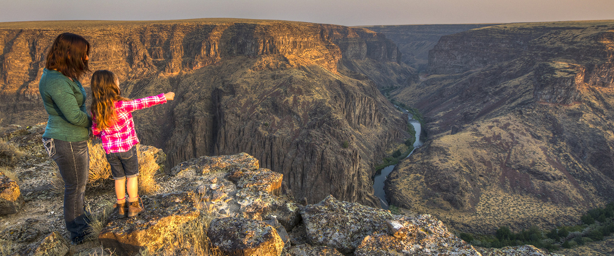 وکیل پرونده های اراضی ملی