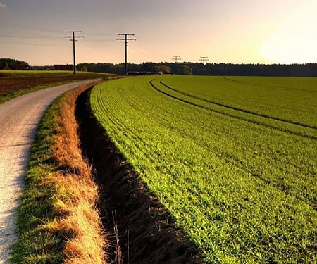 اعتراض به رای کمیسیون تشخیص اراضی موات