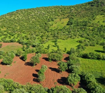 وکیل اعتراض به تشخیص اراضی ملی کرج