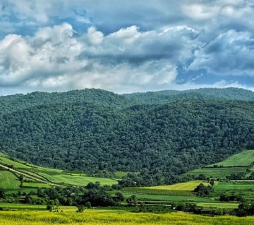 مشاور حقوقی خرید زمین در مازندران